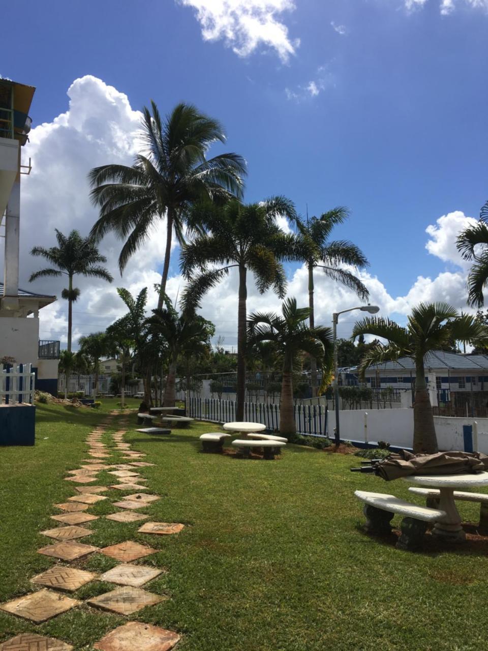 Tropics View Jamaica Hotel Hatfield Eksteriør billede