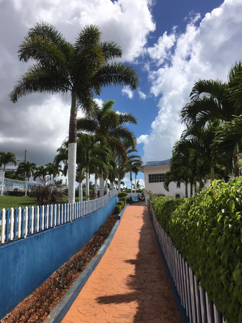 Tropics View Jamaica Hotel Hatfield Eksteriør billede